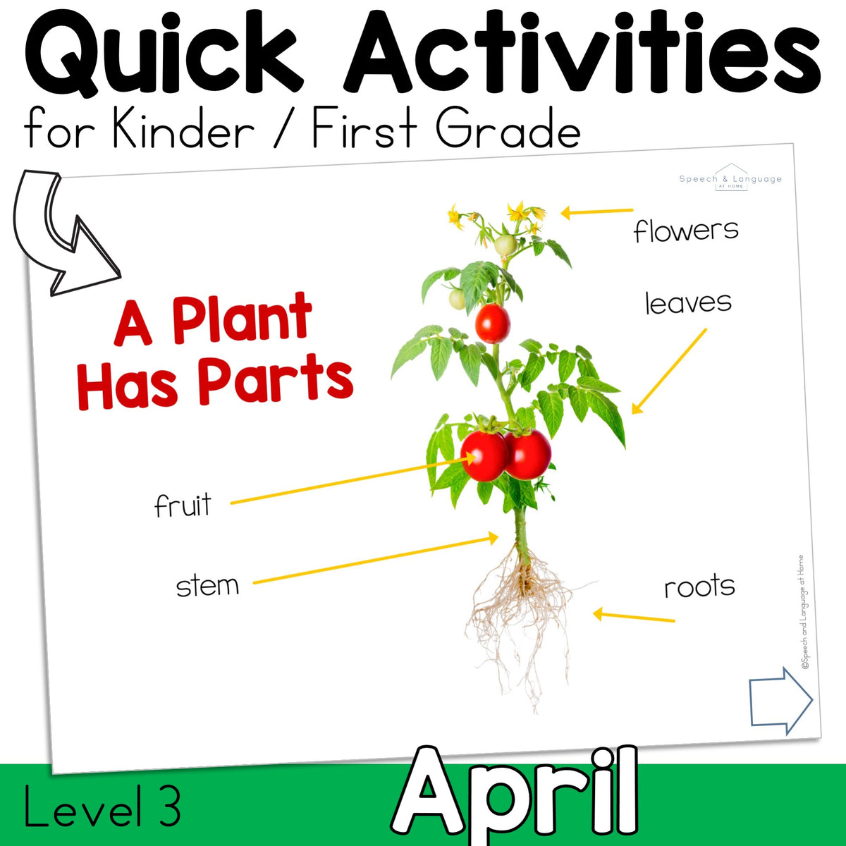 April Activities K-1