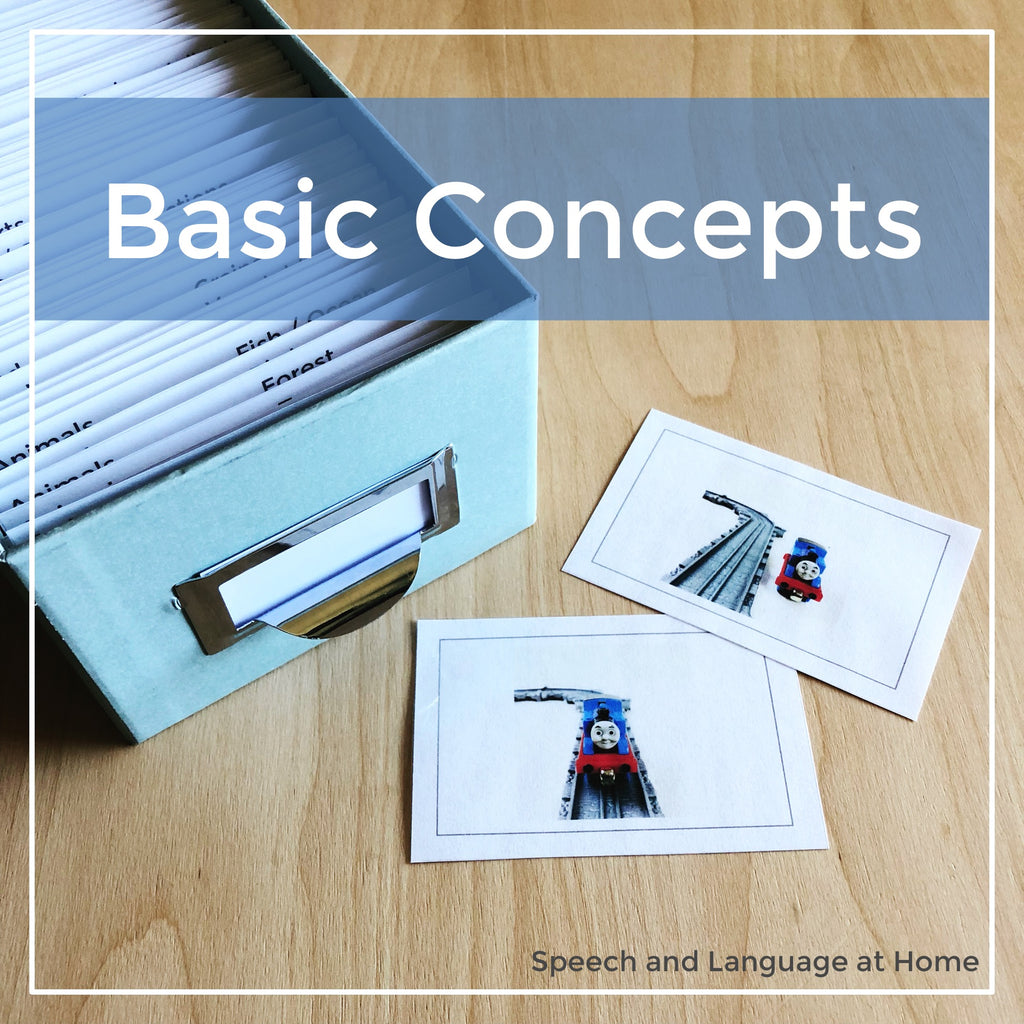 Basic Concepts and Prepositions Photo Cards