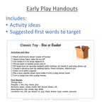 Toys and Play Based Activities Parent Handouts