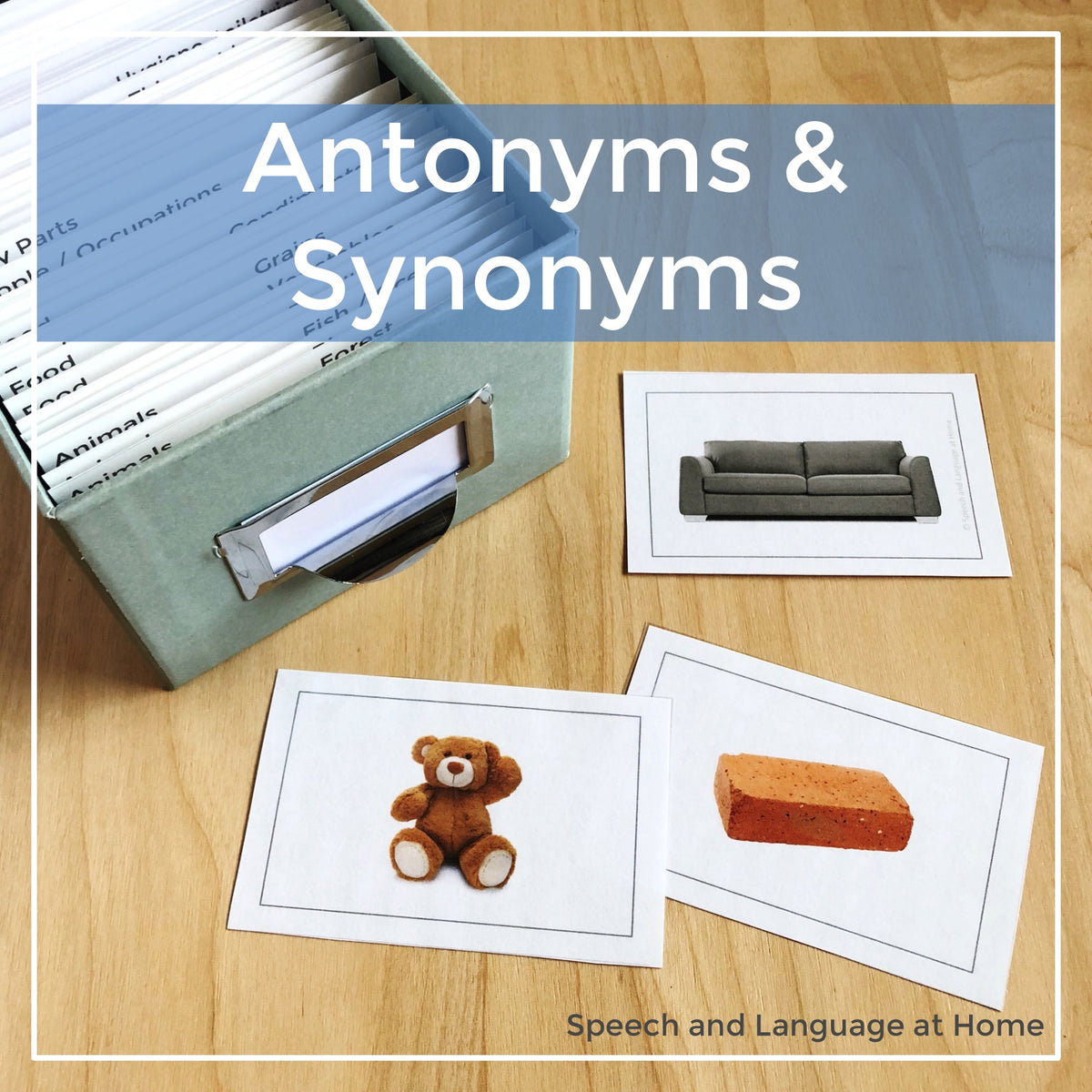 Antonyms and Synonyms Photo Cards