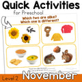 November Preschool Activities