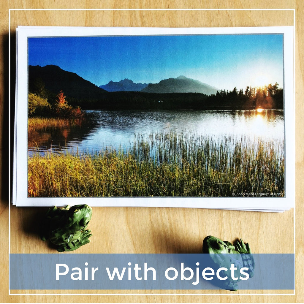 Photo Scene Photo Cards