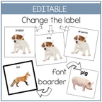 Animals Picture Cards
