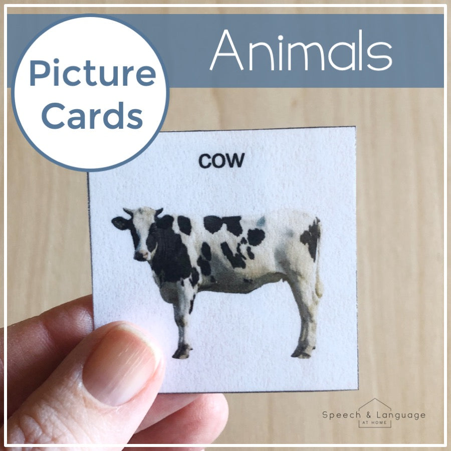 Animals Picture Cards