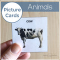 Animals Picture Cards
