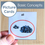 Basic Concepts Picture Cards