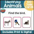 Identify Animals