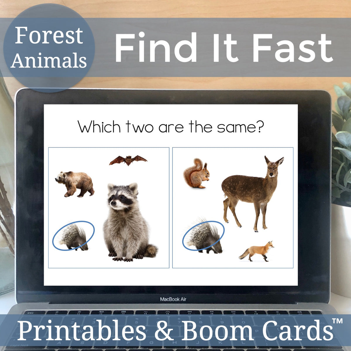 Forest Animals Find It Fast