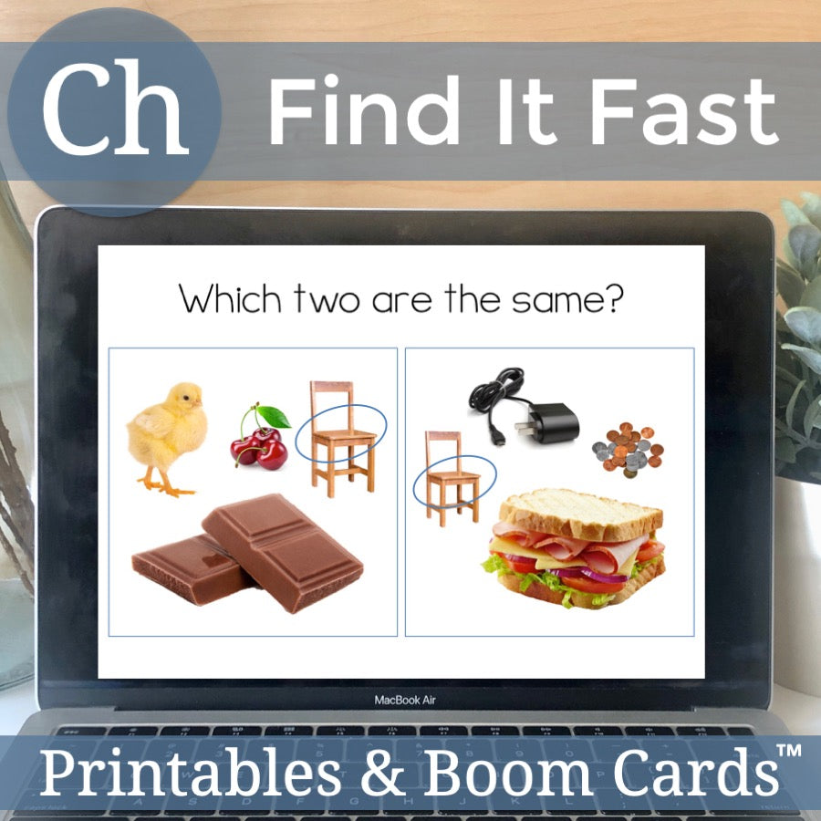 Ch Articulation Game Find It Fast