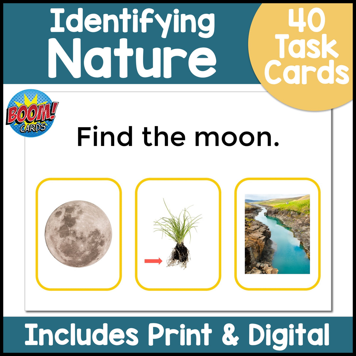 Identify Nature
