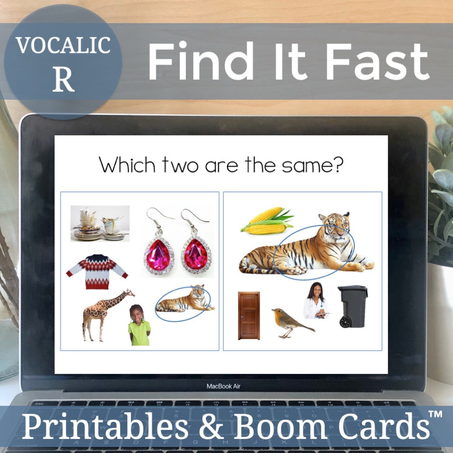 Vocalic R Articulation Game Find It Fast