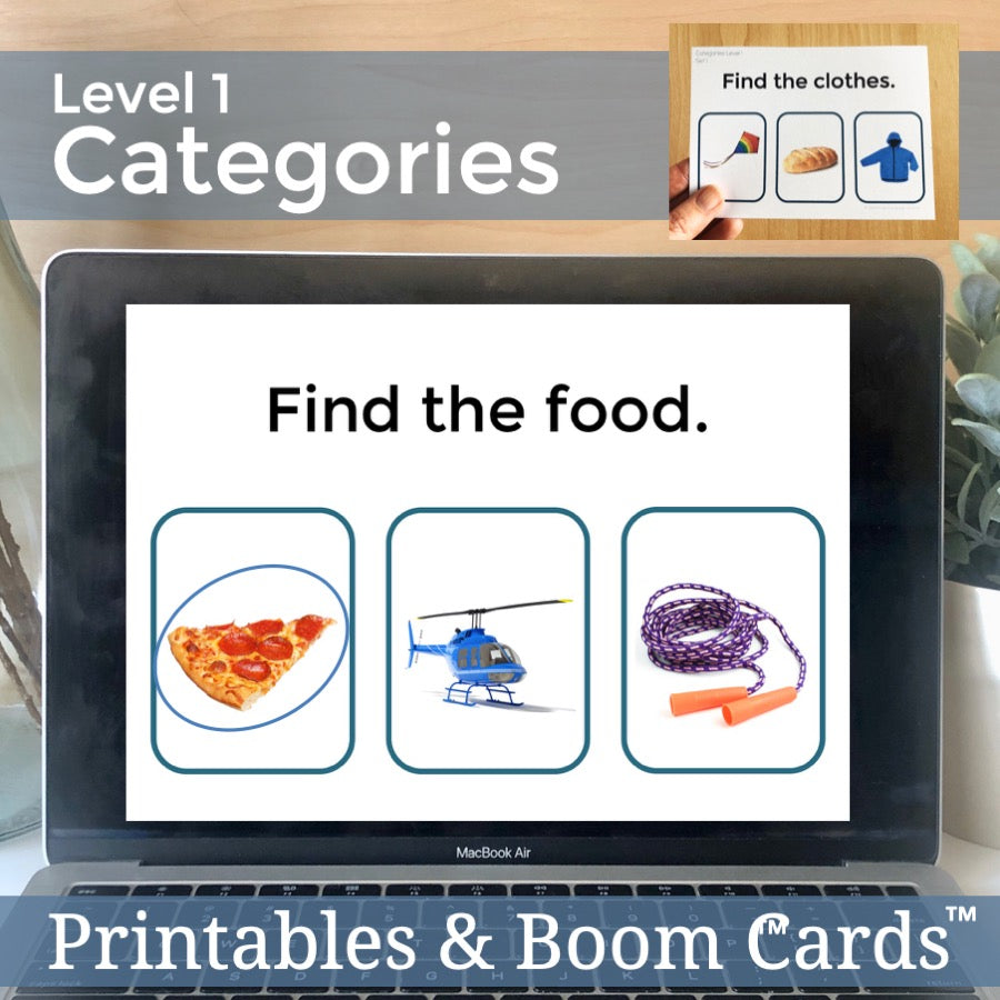 Categories Level 1 Task Cards
