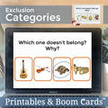Categories Exclusion Task Cards