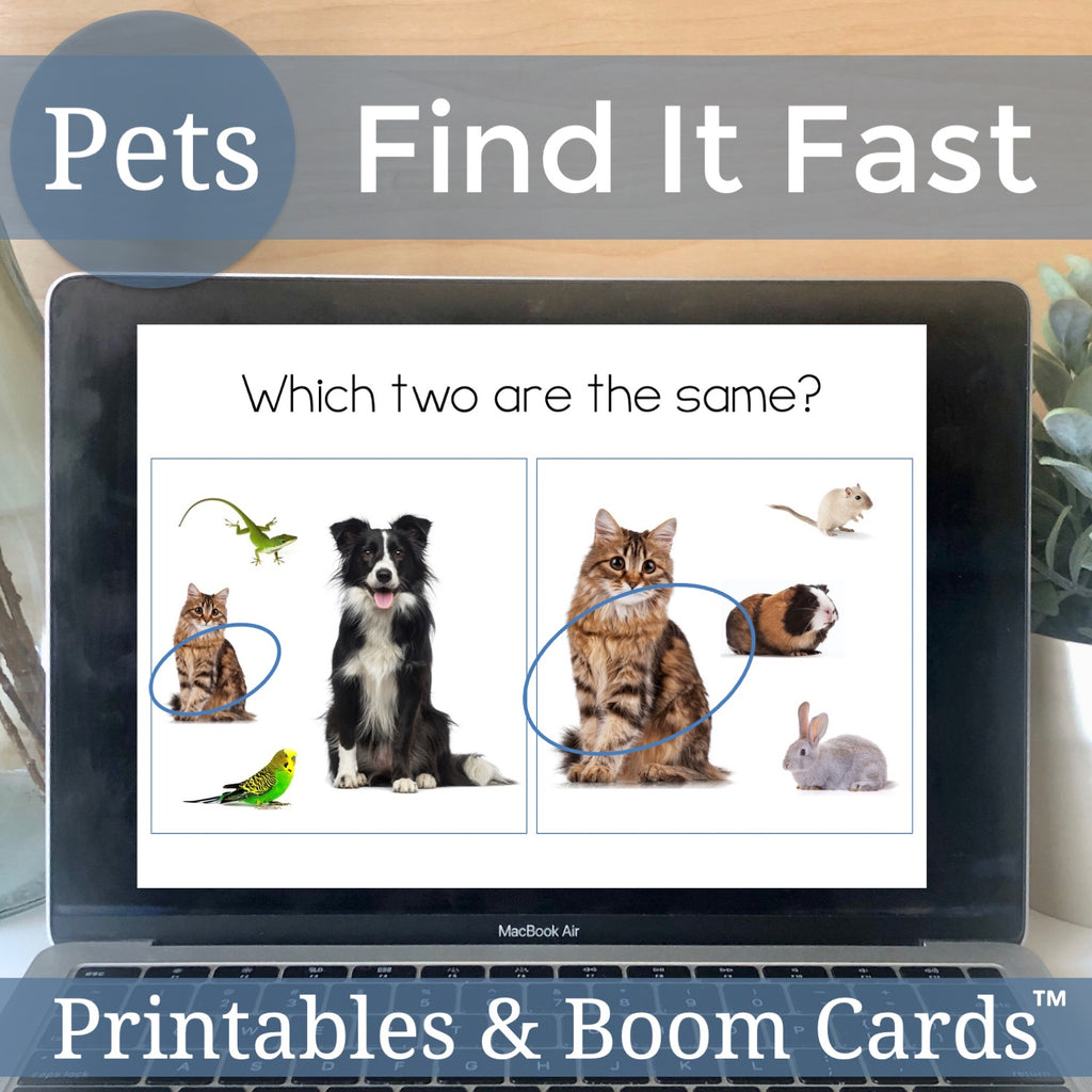 Pet Animals Find It Fast