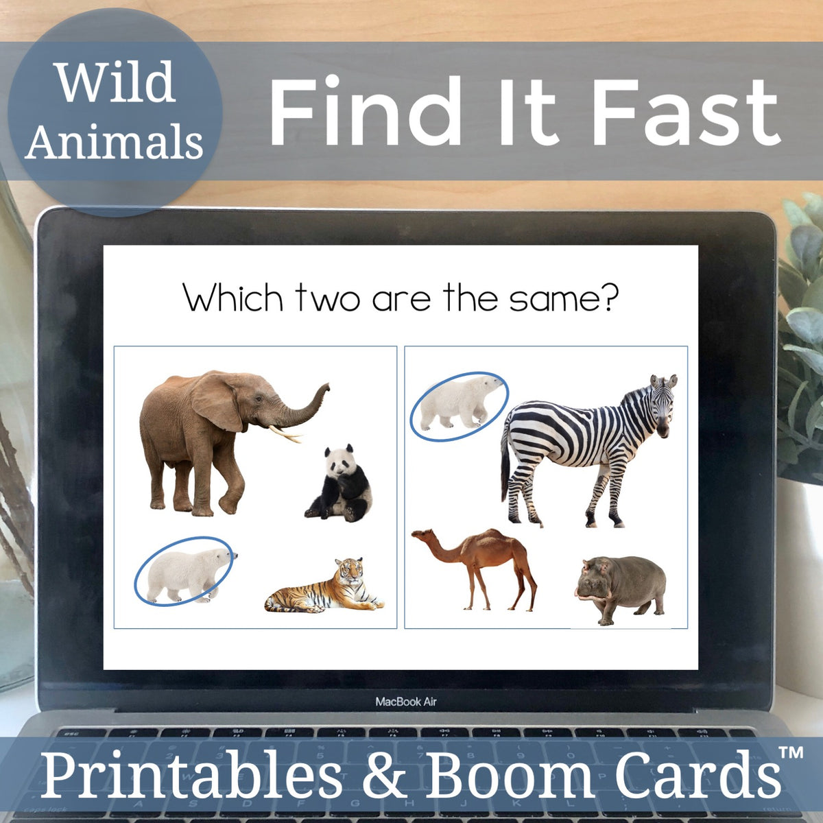 Wild Animals Find It Fast