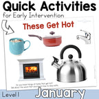 January Early Intervention Activities