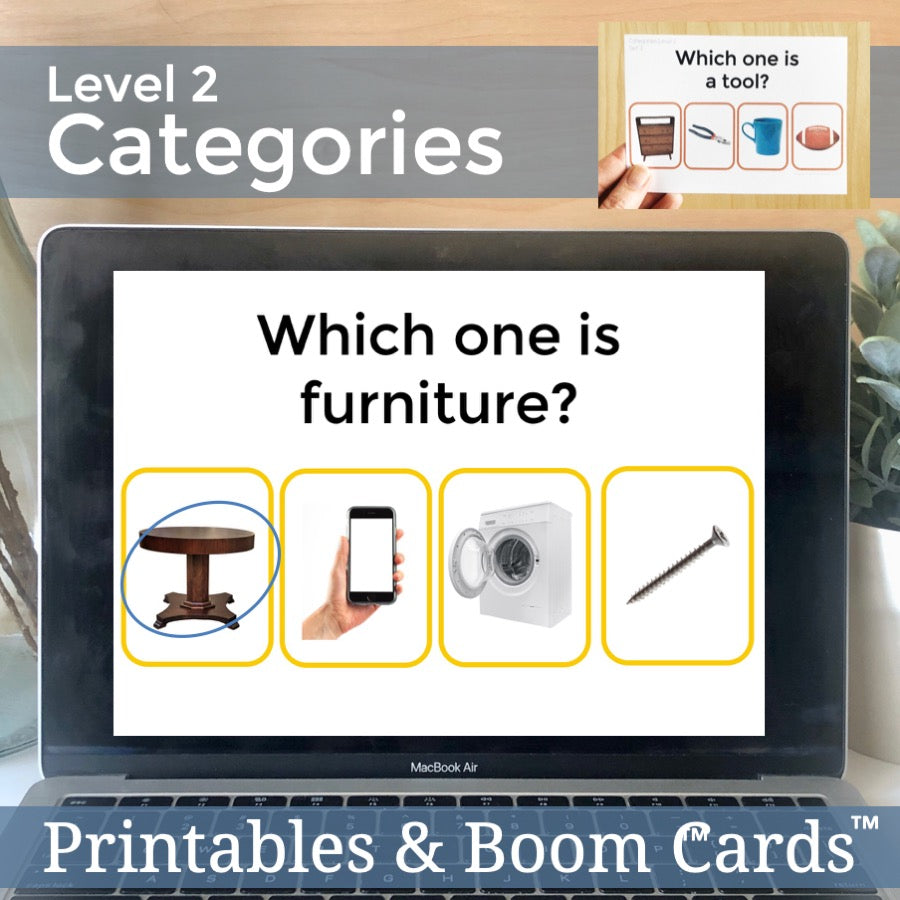 Categories Level 2 Task Cards