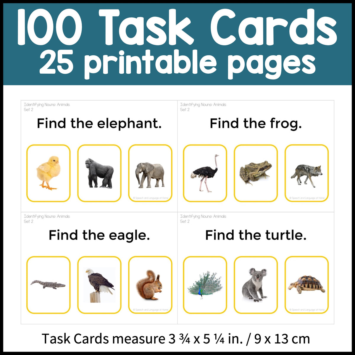 Identify Animals