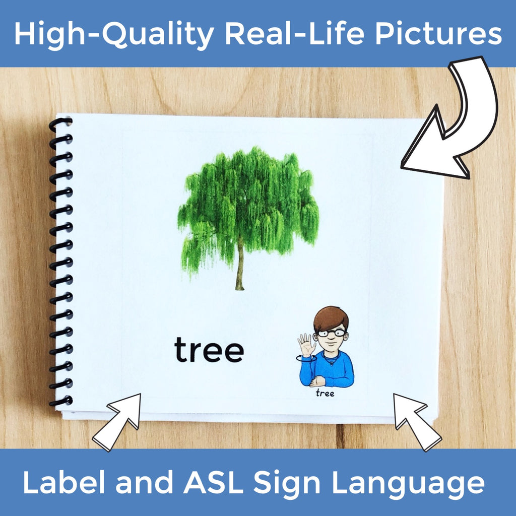 Nature, Weather, and Places Sign and Say