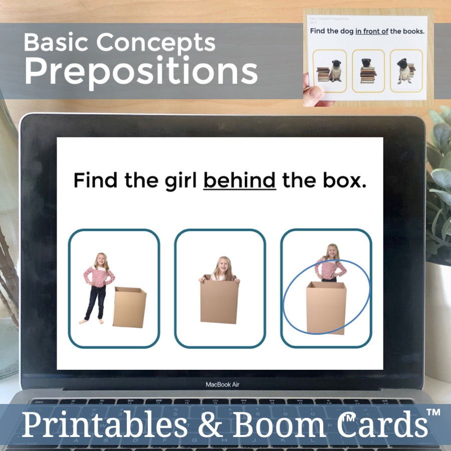 Preposition Task Cards