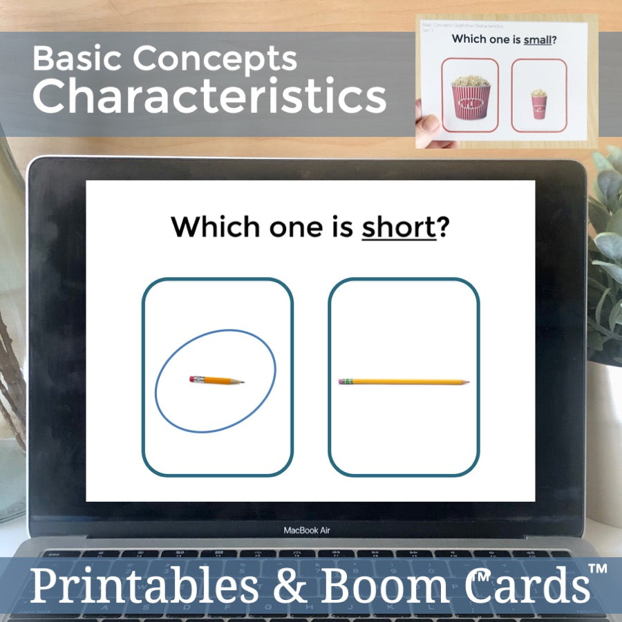 Basic Concept Characteristics Task Cards