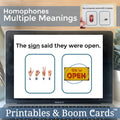 Multiple Meanings Task Cards