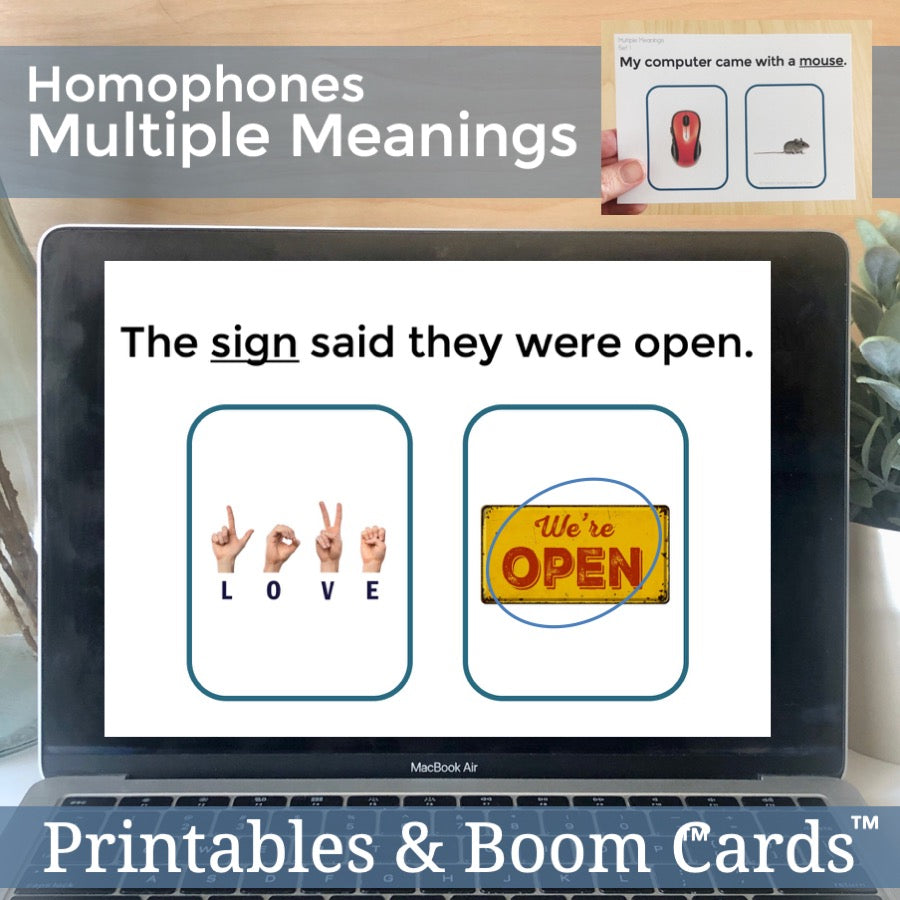 Multiple Meanings Task Cards