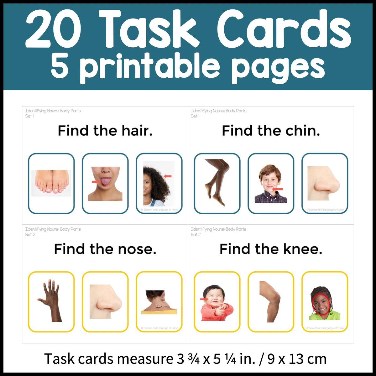 Identify Body Parts