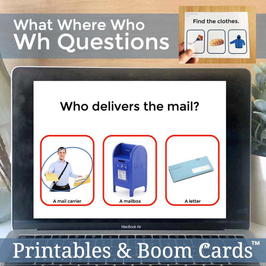 Wh Questions Task Cards