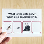 Categories Add One More Task Cards