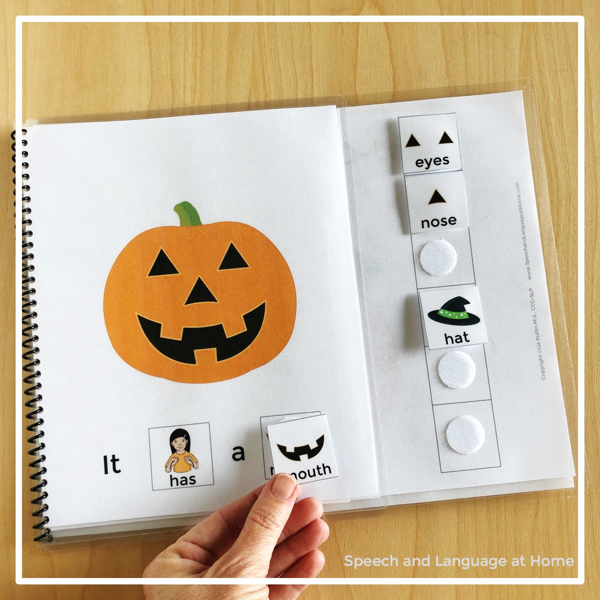Look At The Jack-O-Lantern Interactive Book