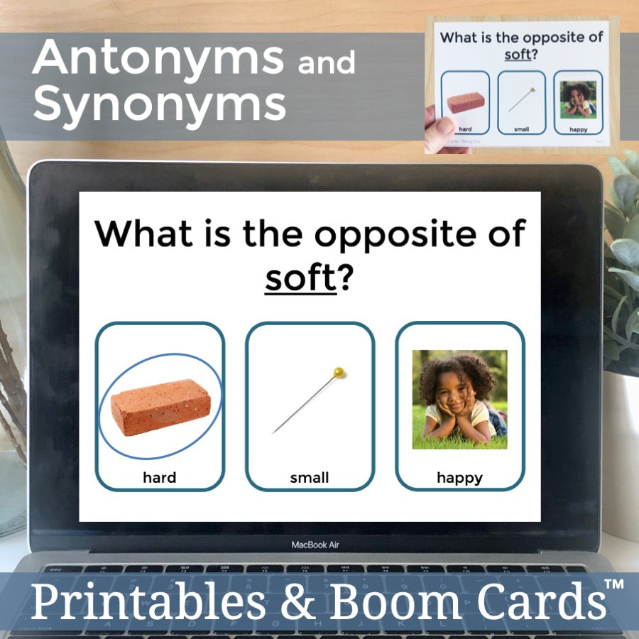 Antonym and Synonym Task Cards