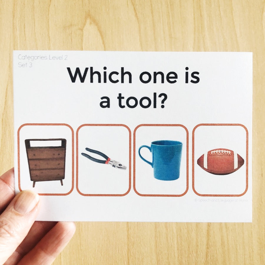 Categories Level 2 Task Cards