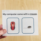 Multiple Meanings Task Cards