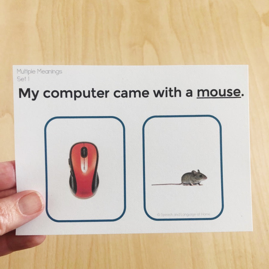 Multiple Meanings Task Cards