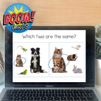 Pet Animals Find It Fast