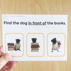 Preposition Task Cards