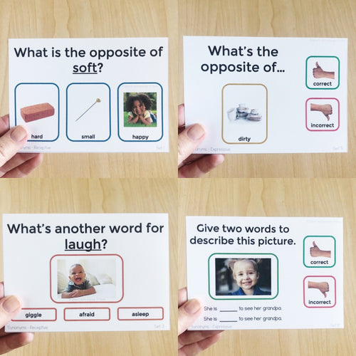 Antonym and Synonym Task Cards