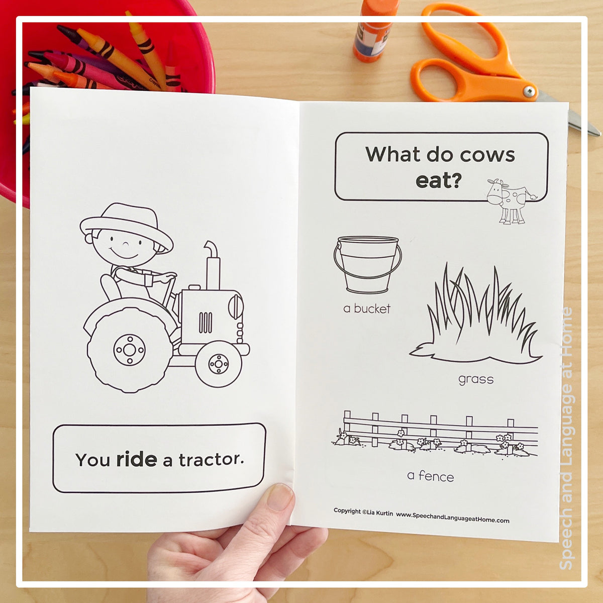 Actions on the Farm Book