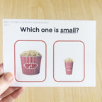 Basic Concept Characteristics Task Cards