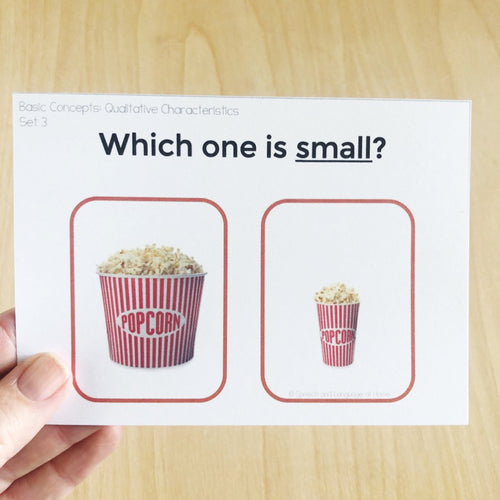 Basic Concept Characteristics Task Cards