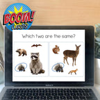 Forest Animals Find It Fast