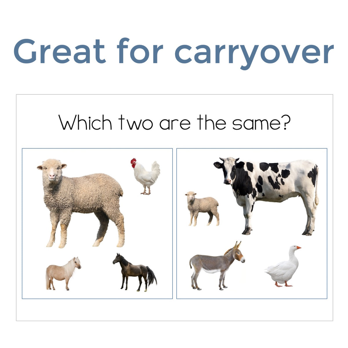 Find It Fast Language Bundle