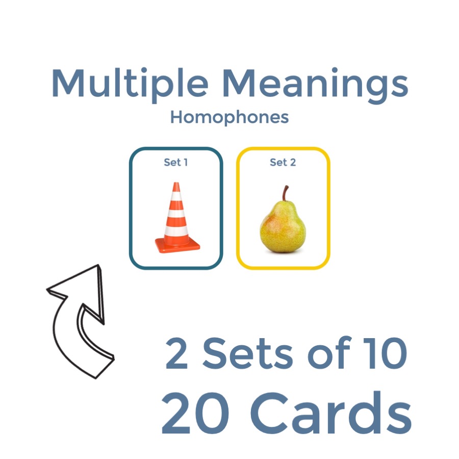 Multiple Meanings Task Cards