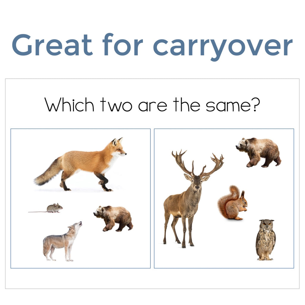 Forest Animals Find It Fast