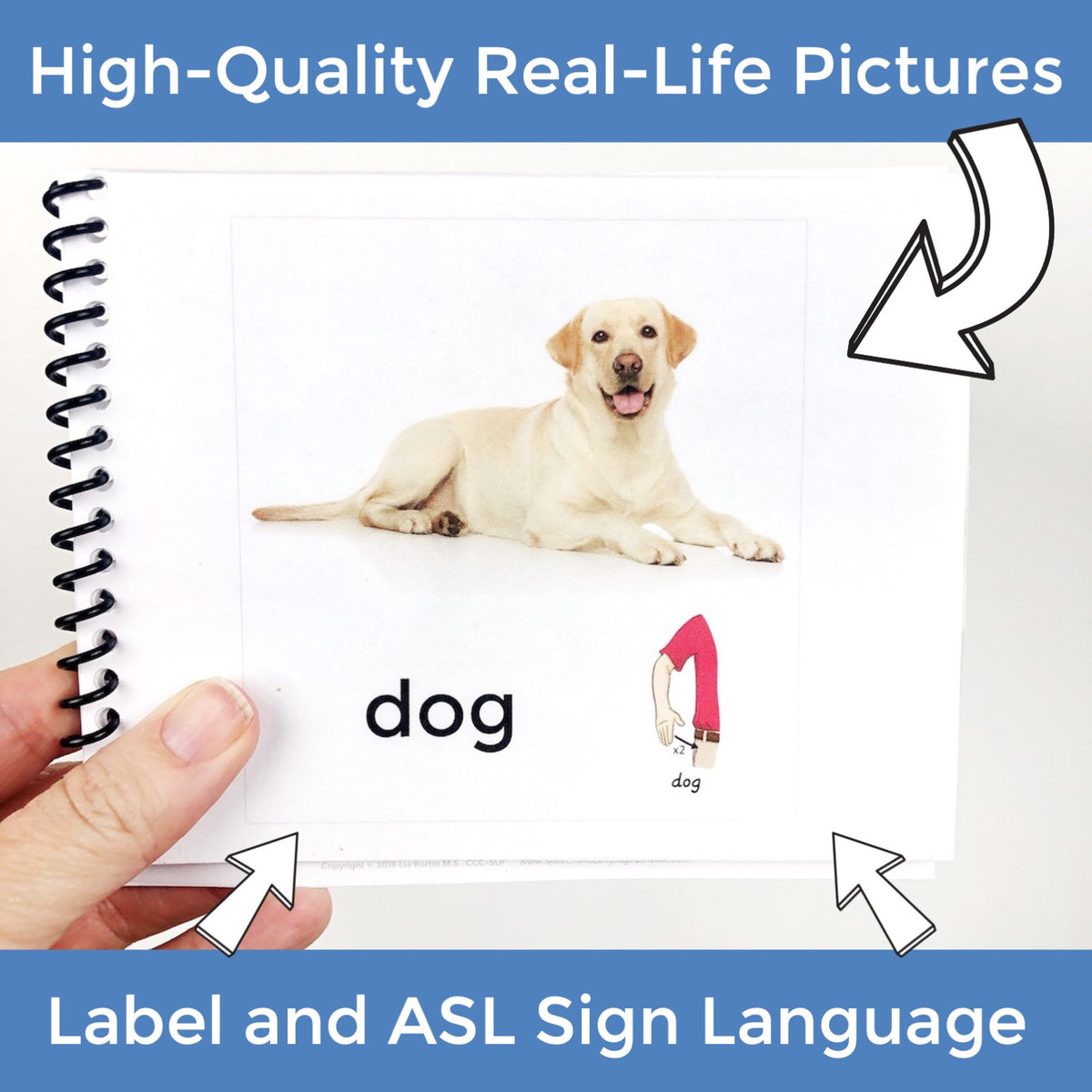 Animals Sign and Say