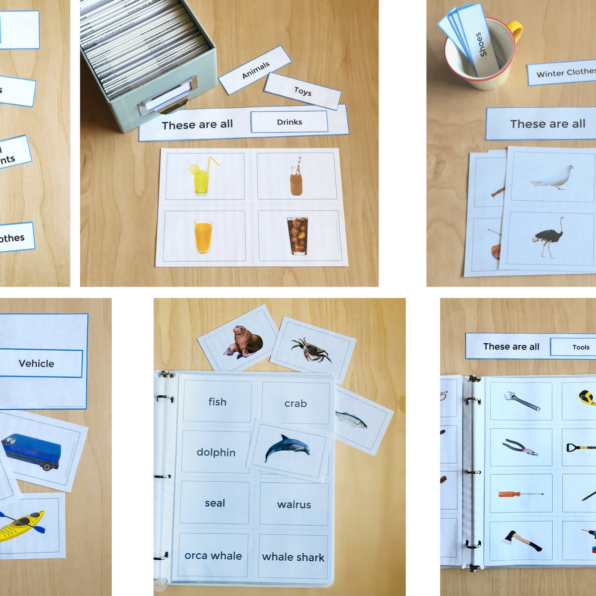 Photo Card Speech And Language Sets