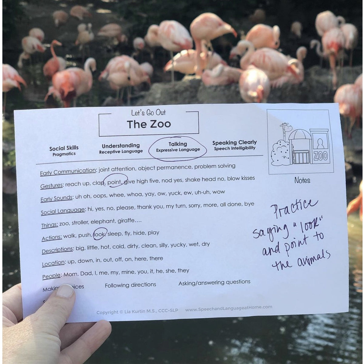 Early Intervention Notebook Resources and Parent Handouts