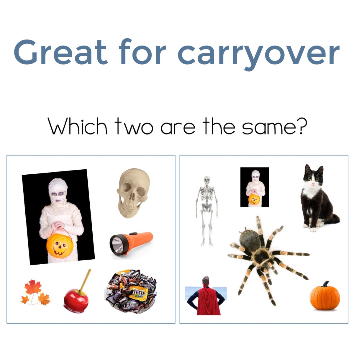 Halloween Find It Fast