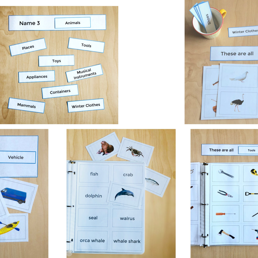 Photo Card Speech And Language Sets